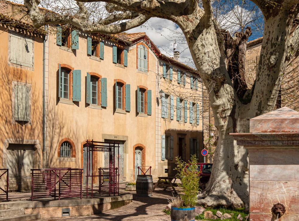 Vente Villa Maison de Maitre Exceptionnelle Caunes-minervois