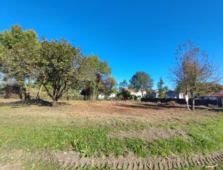  Terrain  vendre 705 m Echebrune