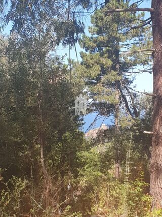 Terrain  vendre 9090 m Ota