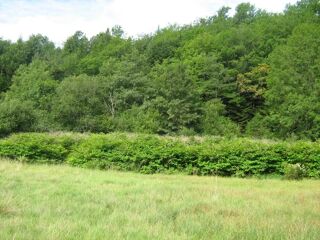  Terrain  vendre 5500 m Aubbusson