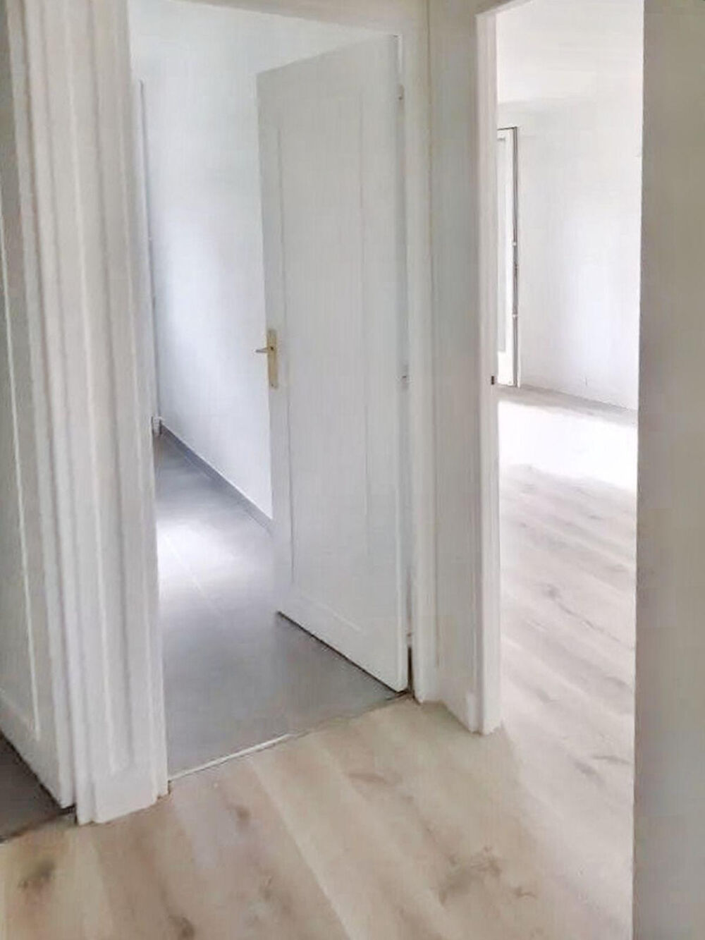 Location Appartement Bel appartement rénové, ensoleillé et lumineux Nogent-sur-marne