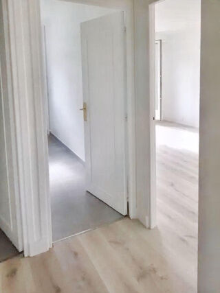 Location Appartement Bel appartement rénové, ensoleillé et lumineux Nogent-sur-marne