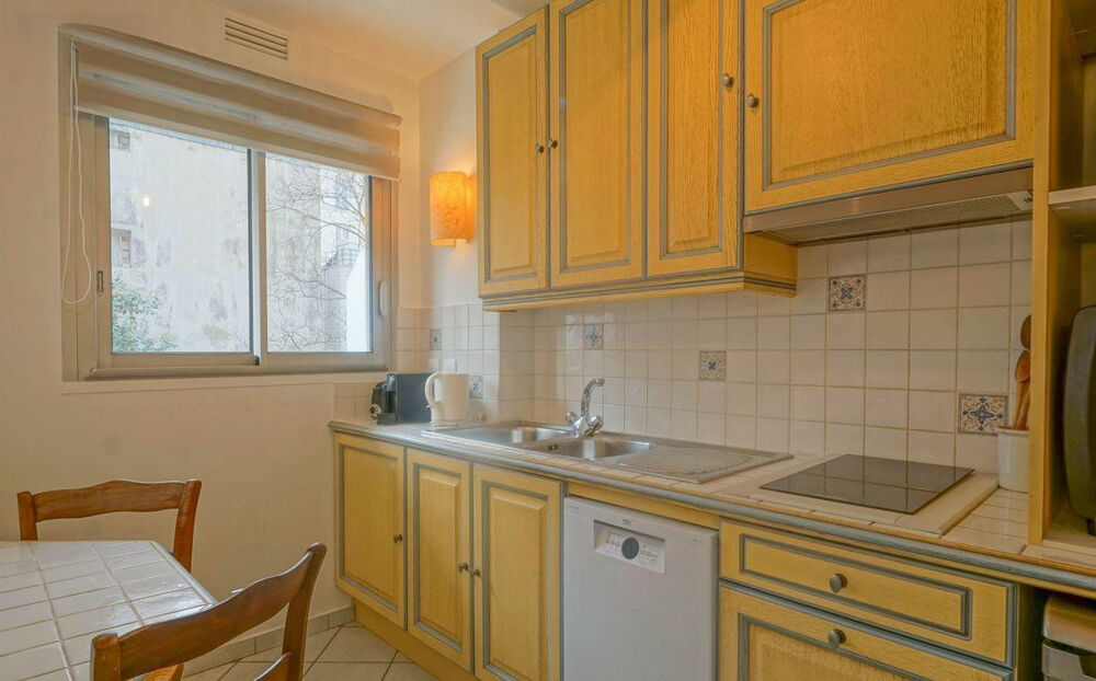 Location Appartement T1 refait à neuf meublé cosy et lumineux terrasse Paris 15