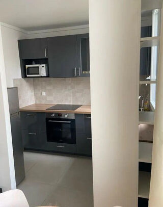  Appartement à louer 1 pièce 30 m²