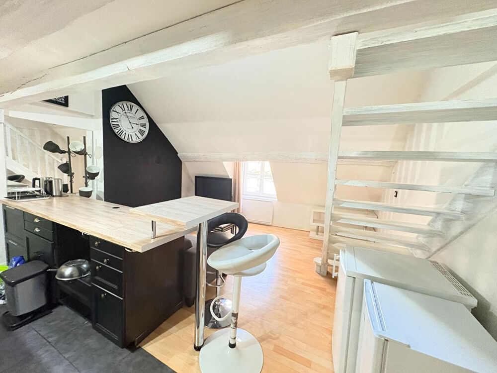 Location Appartement T2 bis hypercentre bord de Loire Orléans