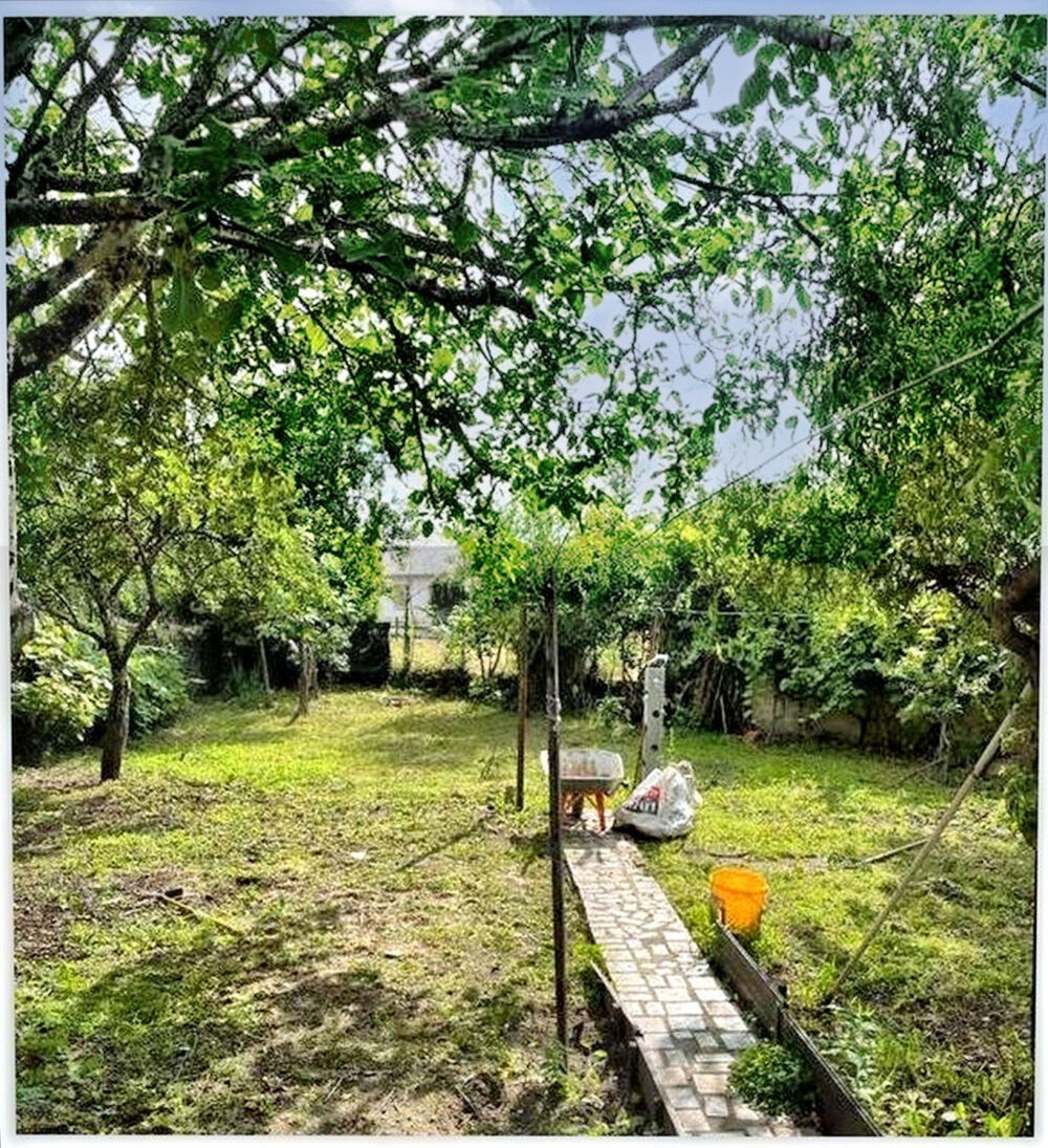 Location Appartement Appartement 3 pièces avec jardin Montluçon