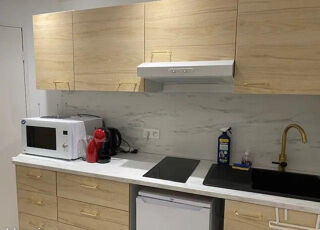 Location Appartement Beau studio neuf 24m² Place des Pavillons Lyon 7