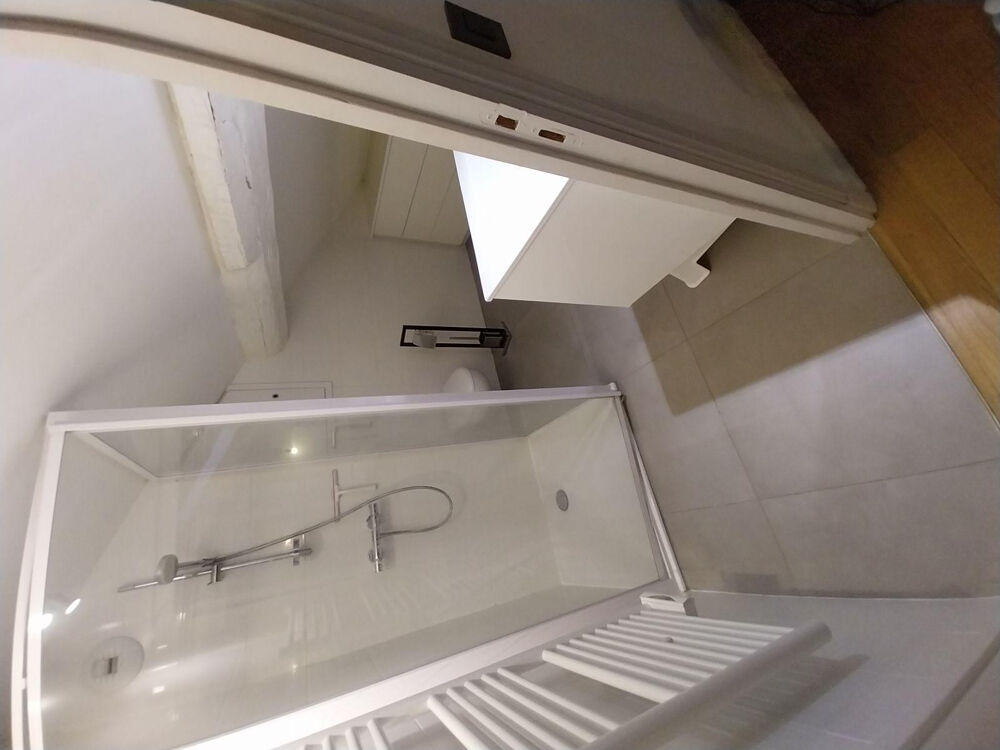 Location Appartement Magnifique Duplex T2 haut de gamme Lyon centre Lyon 2