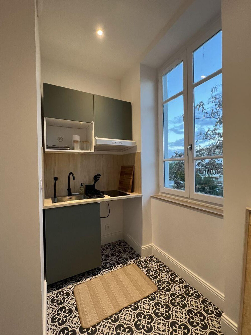 Location Appartement Beau studio meublé de 24m2 refait à neuf Lyon 8 Lyon 8