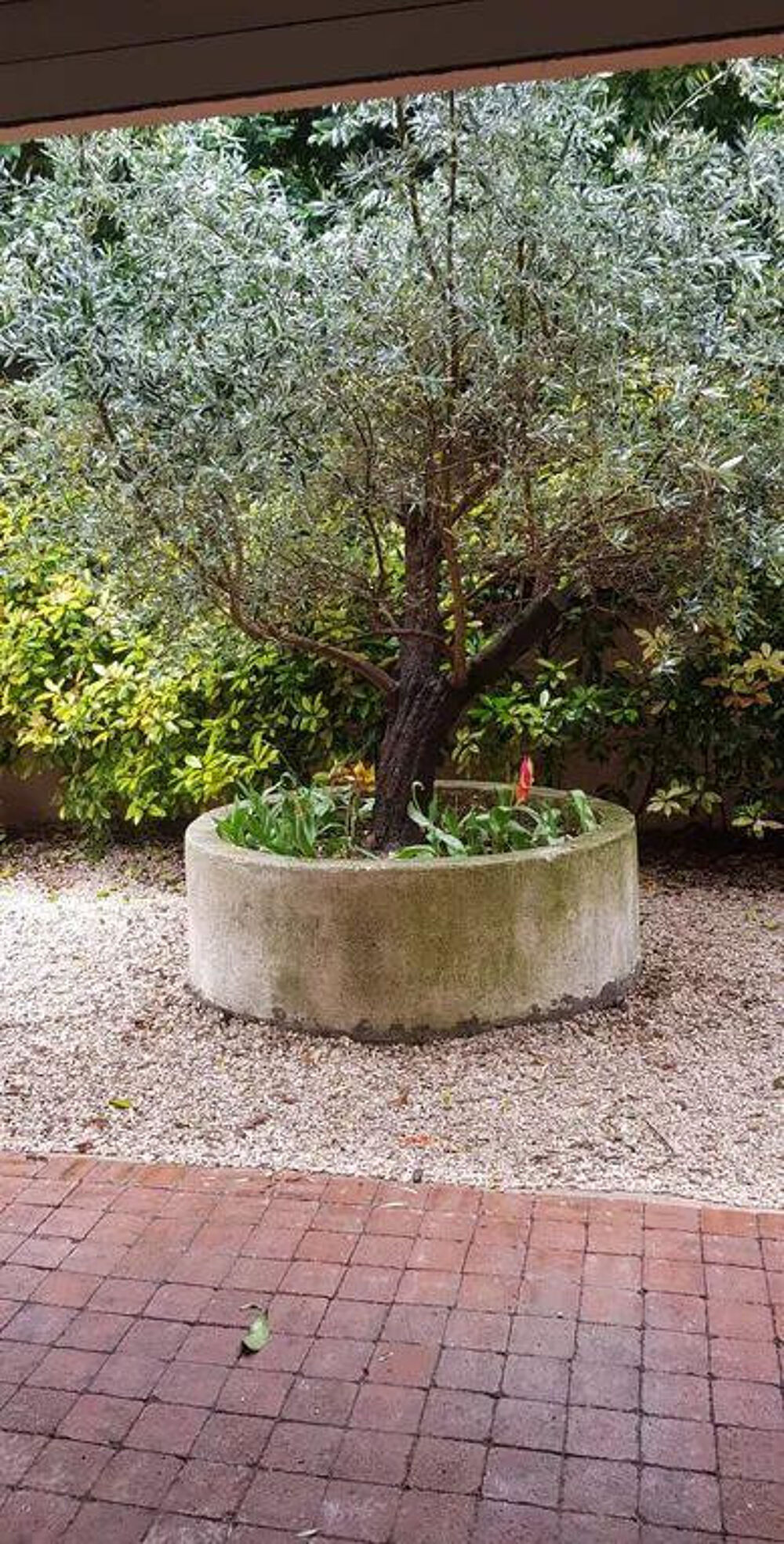 Location Appartement Beau T3 meublé 59 m2 avec jardin à Montpellier Montpellier