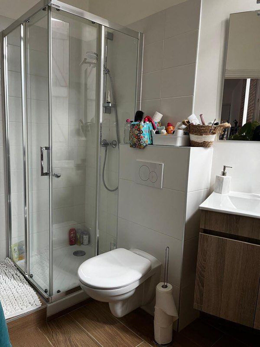 Location Appartement Bel appartement duplex 55m2 Toulouse
