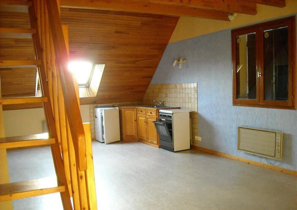 Location Appartement Beau studio 45m² + mezzanine lac des Bretonnières Tours