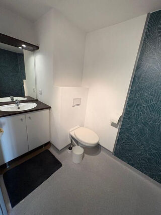  Appartement à louer 1 pièce 20 m²