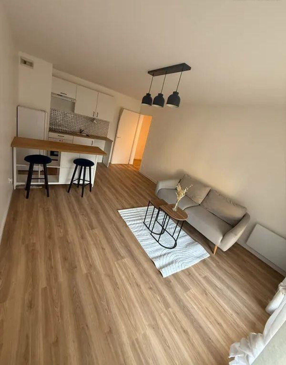 Location Appartement Beau 2P meublé 42 m² refait à neuf La Basilique Argenteuil
