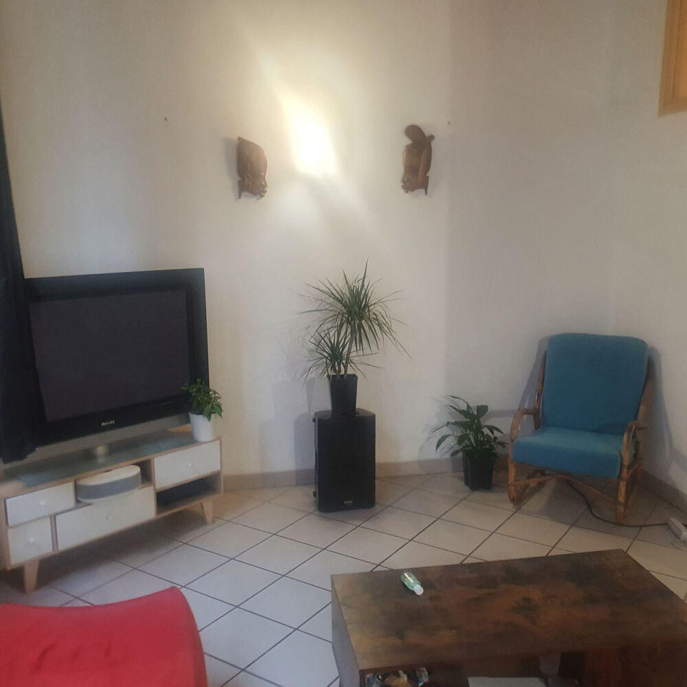 Location Appartement Bel appartement type Canut Lyon 1
