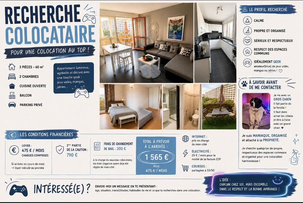 Location Appartement COLOCATION APPARTEMENT LONGJUMEAU 60m2 Longjumeau