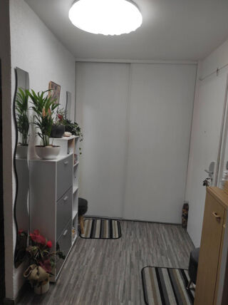 Location Appartement Grd appart 3 chambres- Coloc solidaire (600€ X3 ) Strasbourg