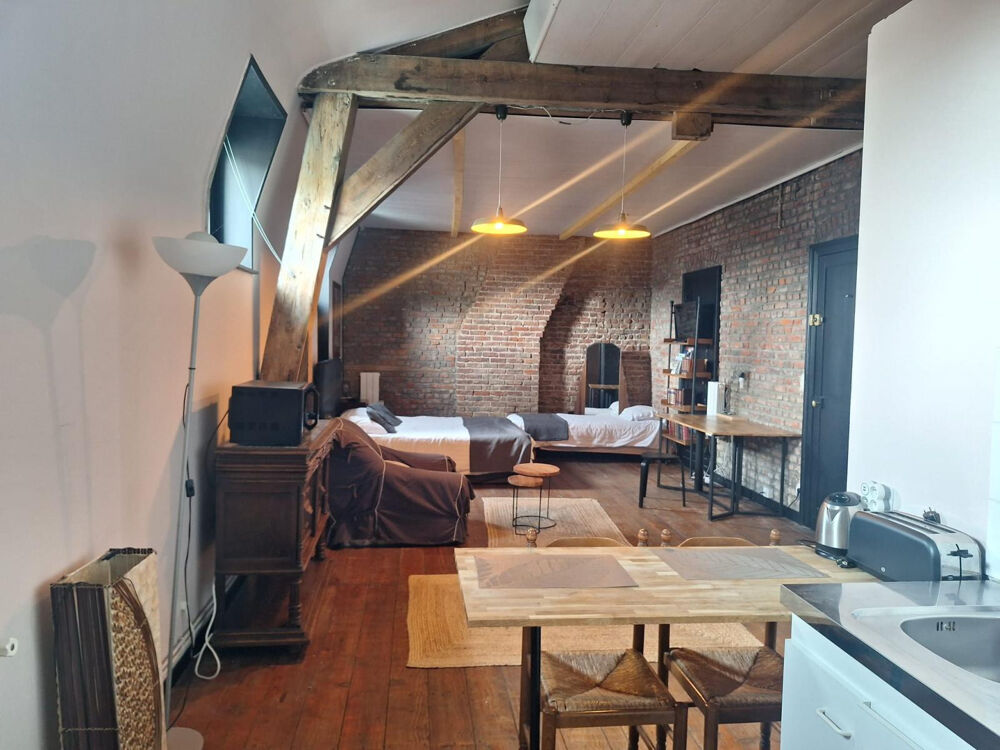 Location Appartement Magnifique studio, calme, avec charme et cachet Roubaix