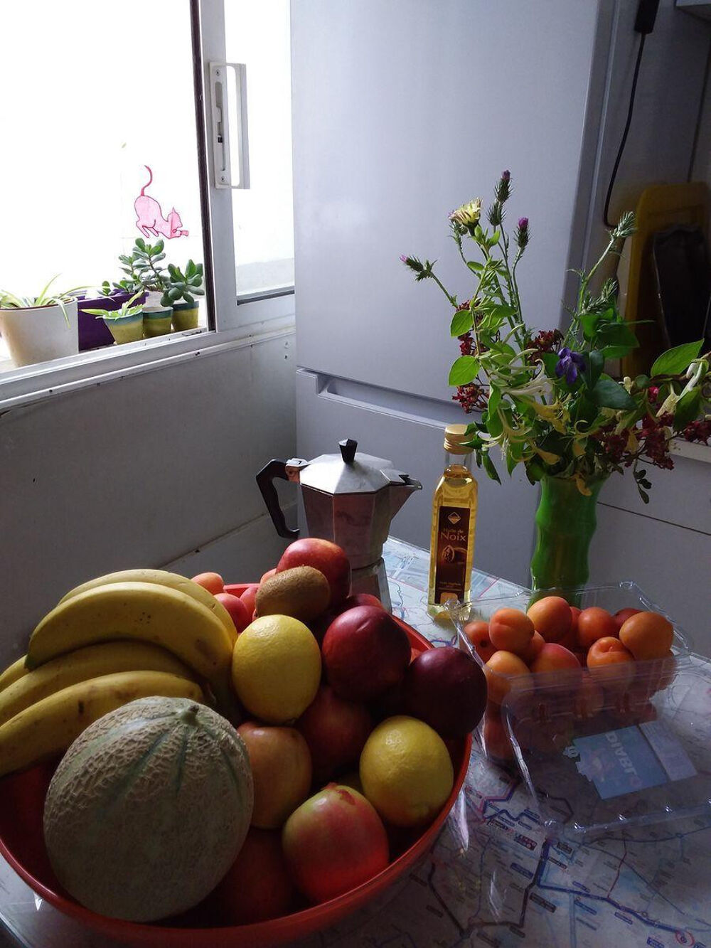 Location Appartement Agréable chambre ensoleillée chez l'habitante Montpellier