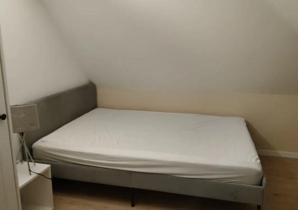 Location Appartement Charmant 3P meublé 70m² au sol et 47m² carrez Mulhouse