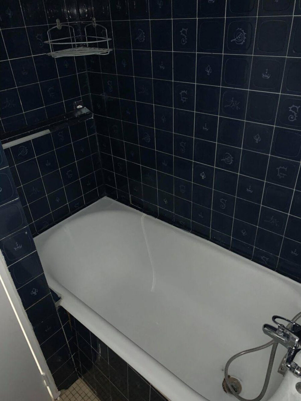 Location Appartement Studio rue de Longchamp Paris 16ème Paris 16e