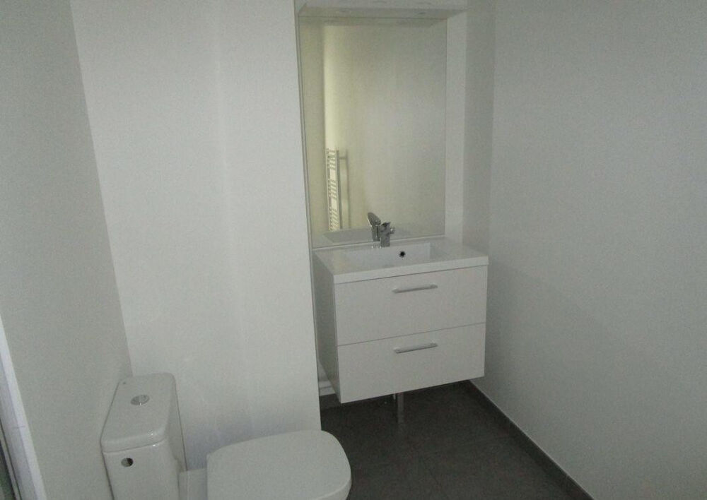 Location Appartement Grand Studio lumineux Pont de St Cloud Boulogne-billancourt