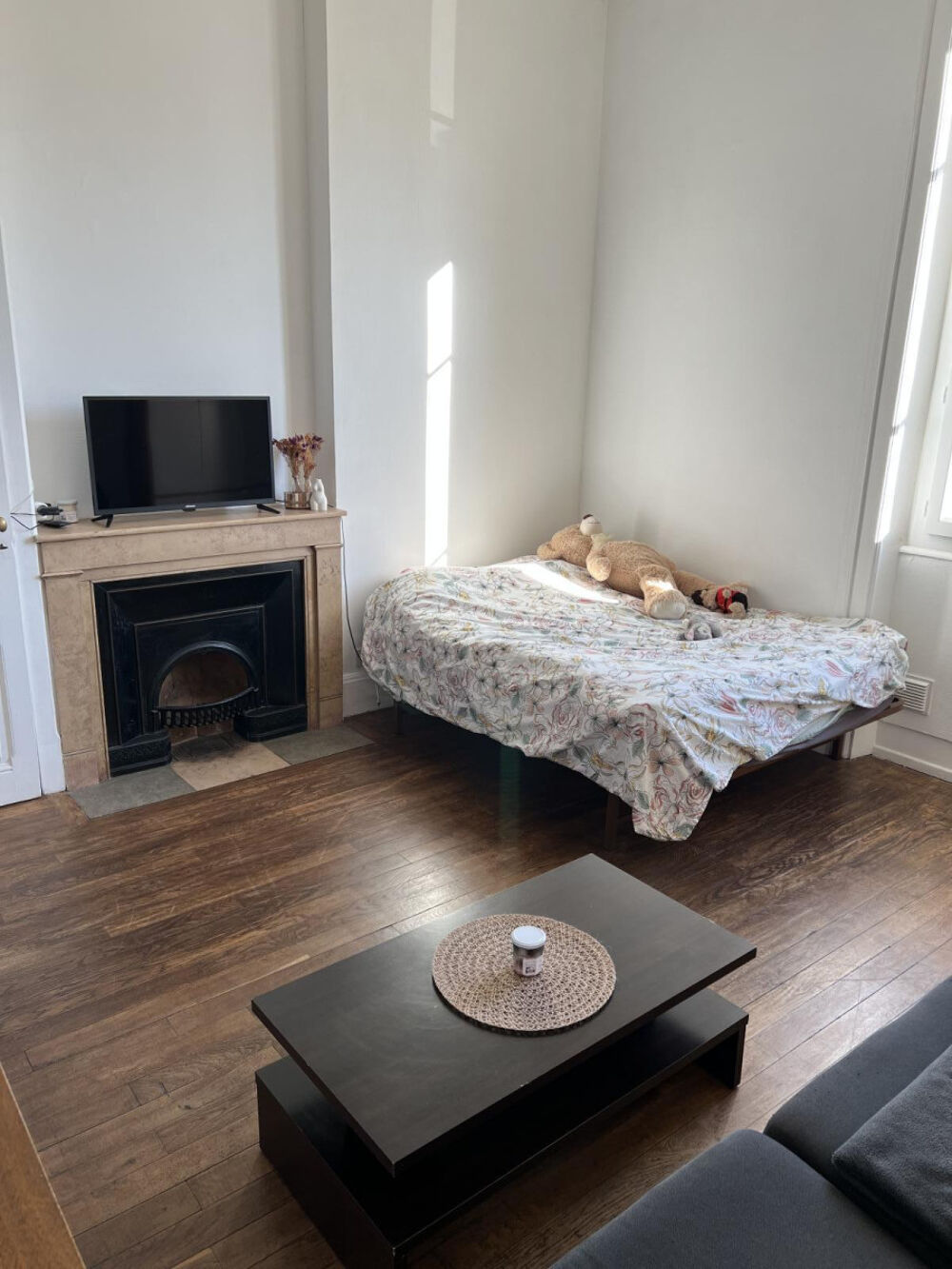 Location Appartement Appartement 35m2 Villeurbanne Villeurbanne
