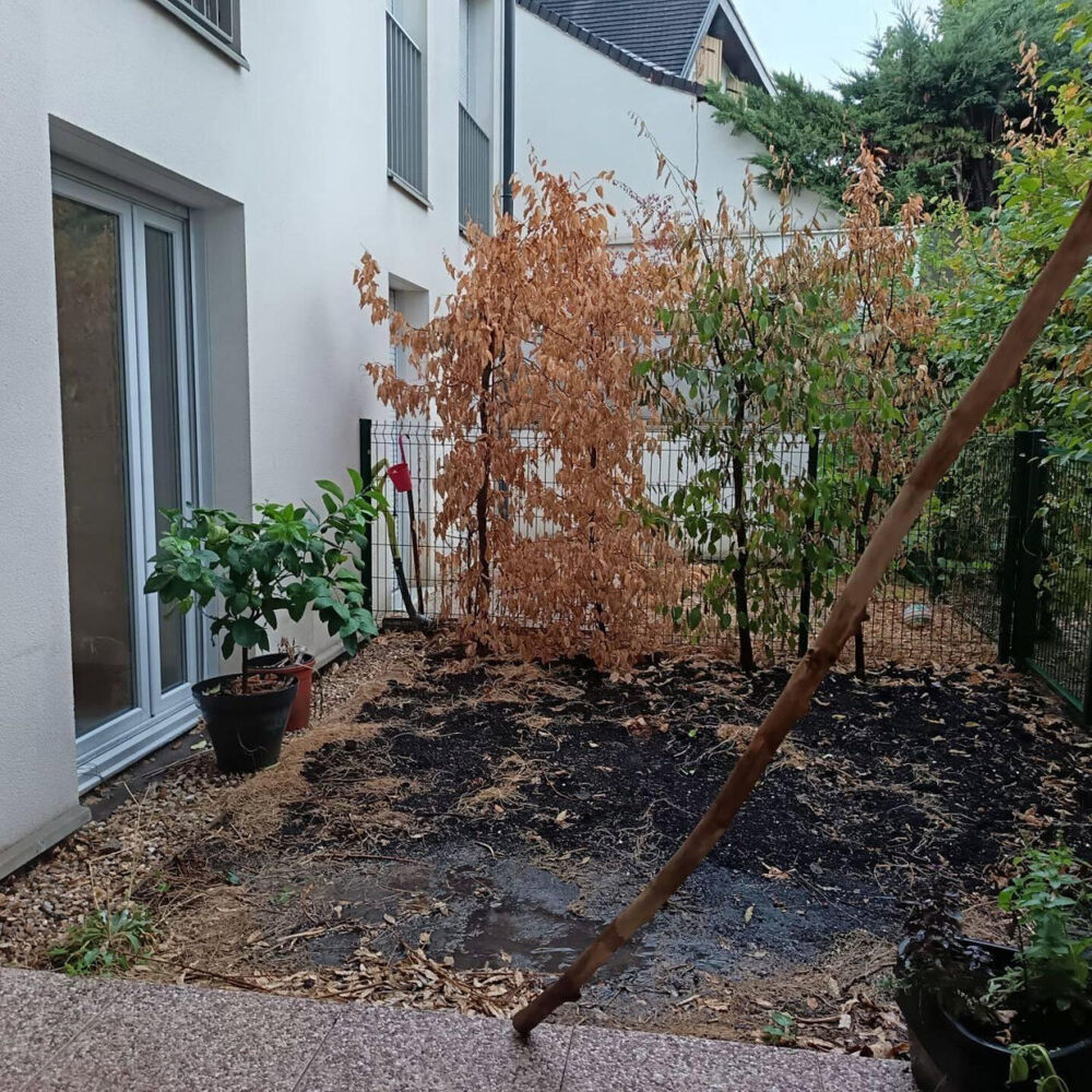 Location Appartement Appartement de type F3 quartier Abbaye Livry-gargan