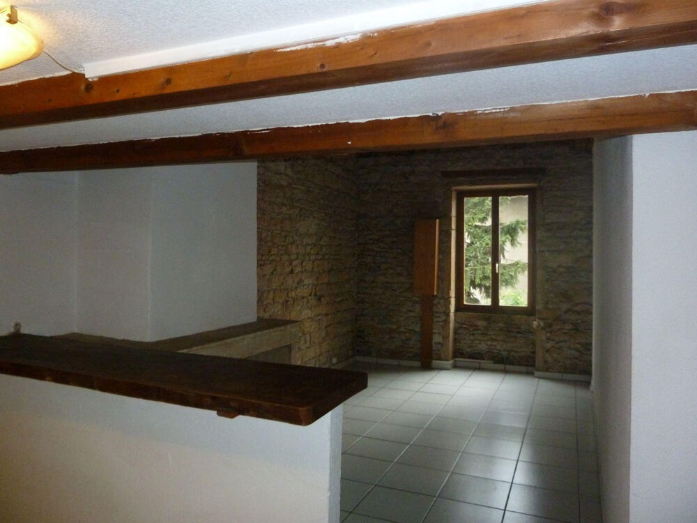 Location Appartement APPARTEMENT TRES TYPE , 31 M2 + MEZZANINE 6 M2 , Caluire-et-cuire