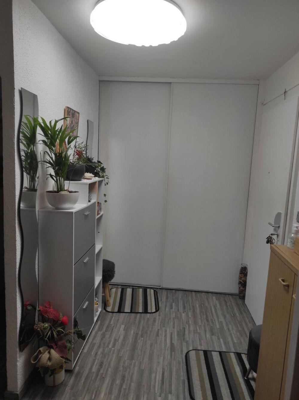 Location Appartement Grd appart 3 chambres- Coloc solidaire (600€ X3 ) Strasbourg