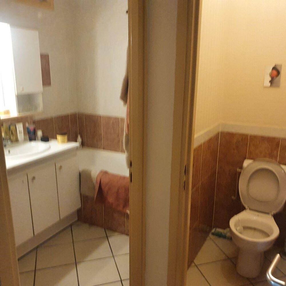 Location Appartement Bel appartement type Canut Lyon 1