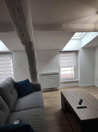 Location Appartement Beau 3P 52m² meublé Anatole France Saint-Étienne