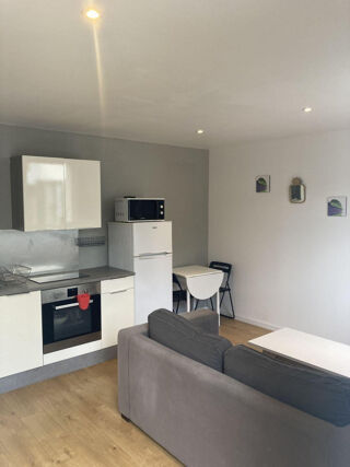 Location Appartement Studio T 2 ( Appart T2 meuble ) 30 m, Lyon 5e Lyon 5