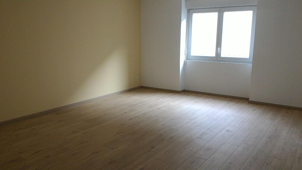 Location Appartement Appart rénové climatisé possibilité de garage Bessèges