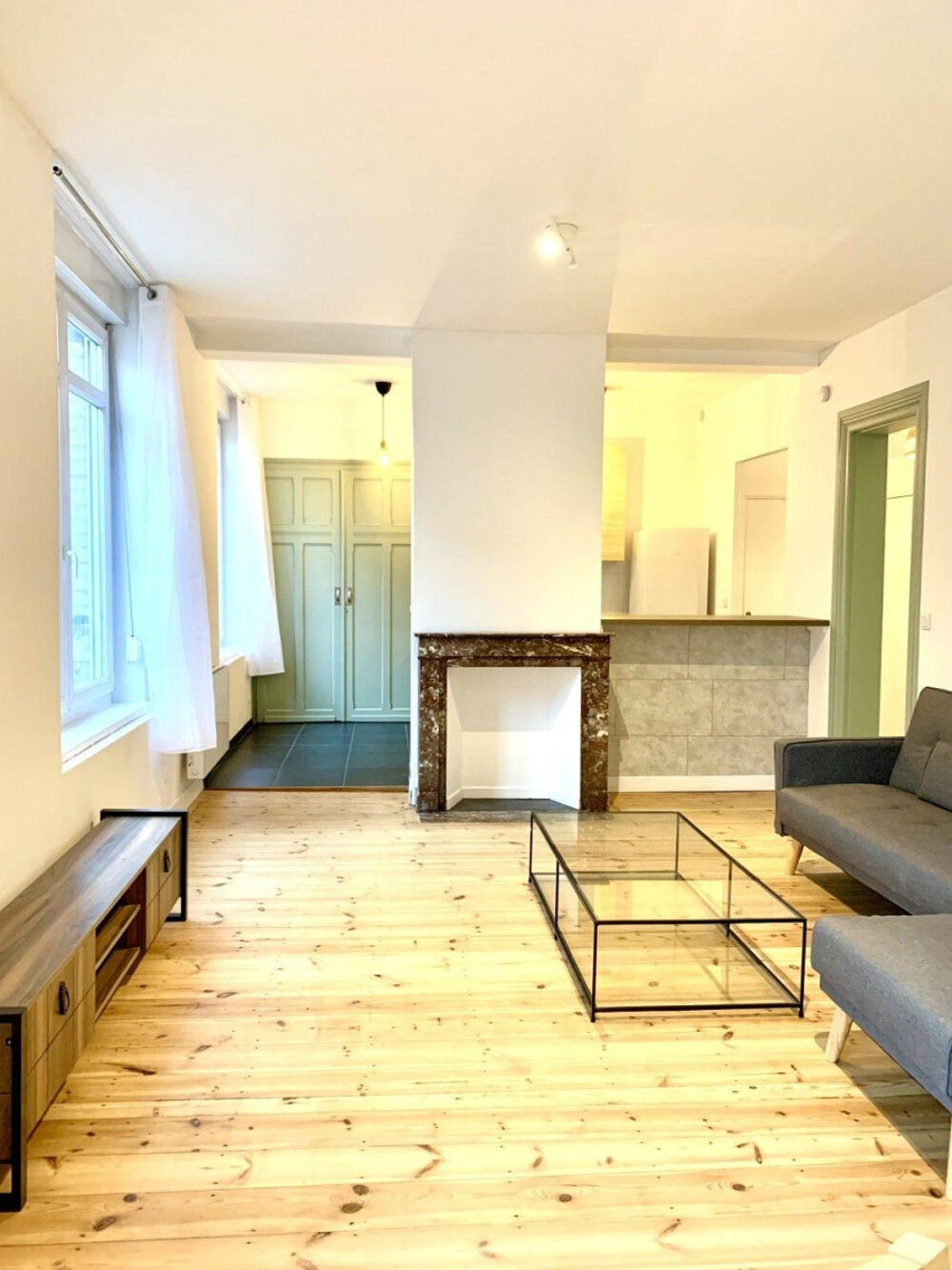 Location Appartement Superbe 2P meublé 51m² refait à neuf Saint Sauveur Lille