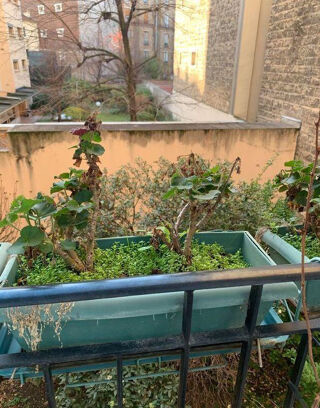 Location Appartement Beau 2 pièces meublé à Bécon très calme Courbevoie