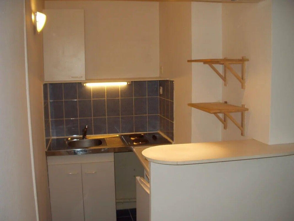 Location Appartement Bel appartement 30m² calme Jardin des plantes Nantes