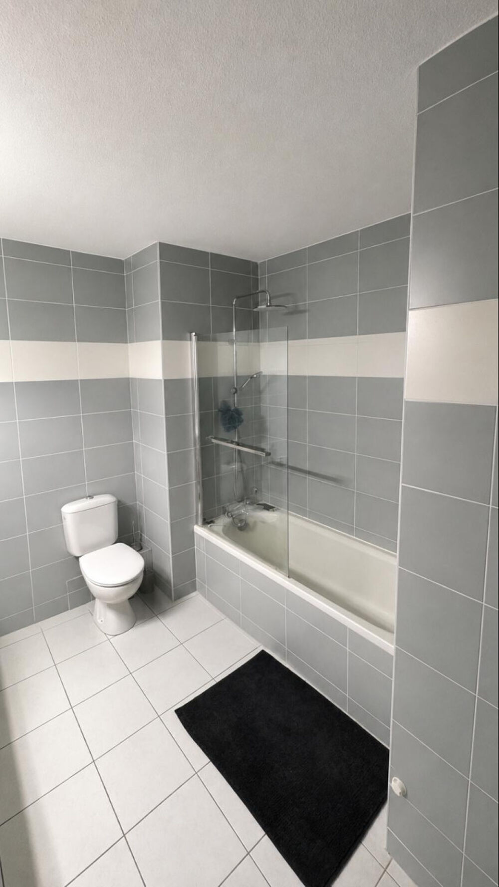 Location Appartement A louer T2 meublé 43 m² Bruges