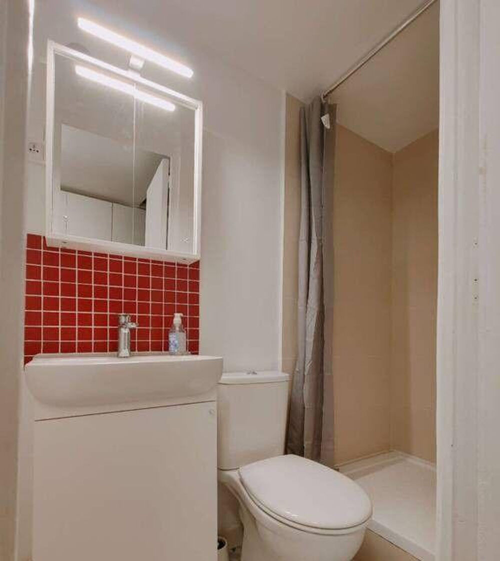 Location Appartement Charmant studio refait à neuf de 19m² Marais Paris 4