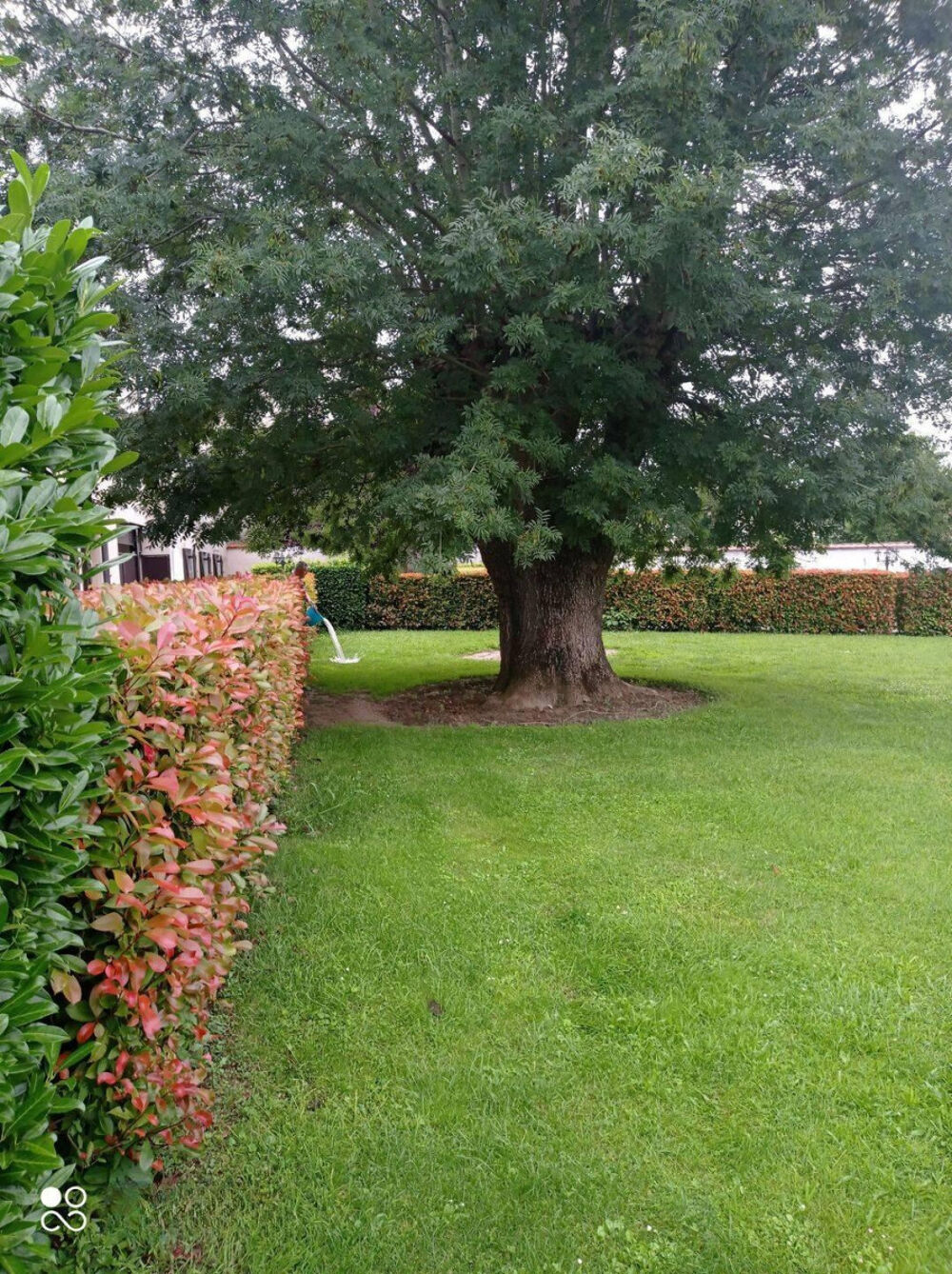 Location Appartement Beau DUPLEX 5 PIECES DANS PETITE RESIDENCE Fresnes-sur-marne