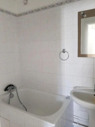 Location Appartement Bel appartement rénové, ensoleillé et lumineux Nogent-sur-marne