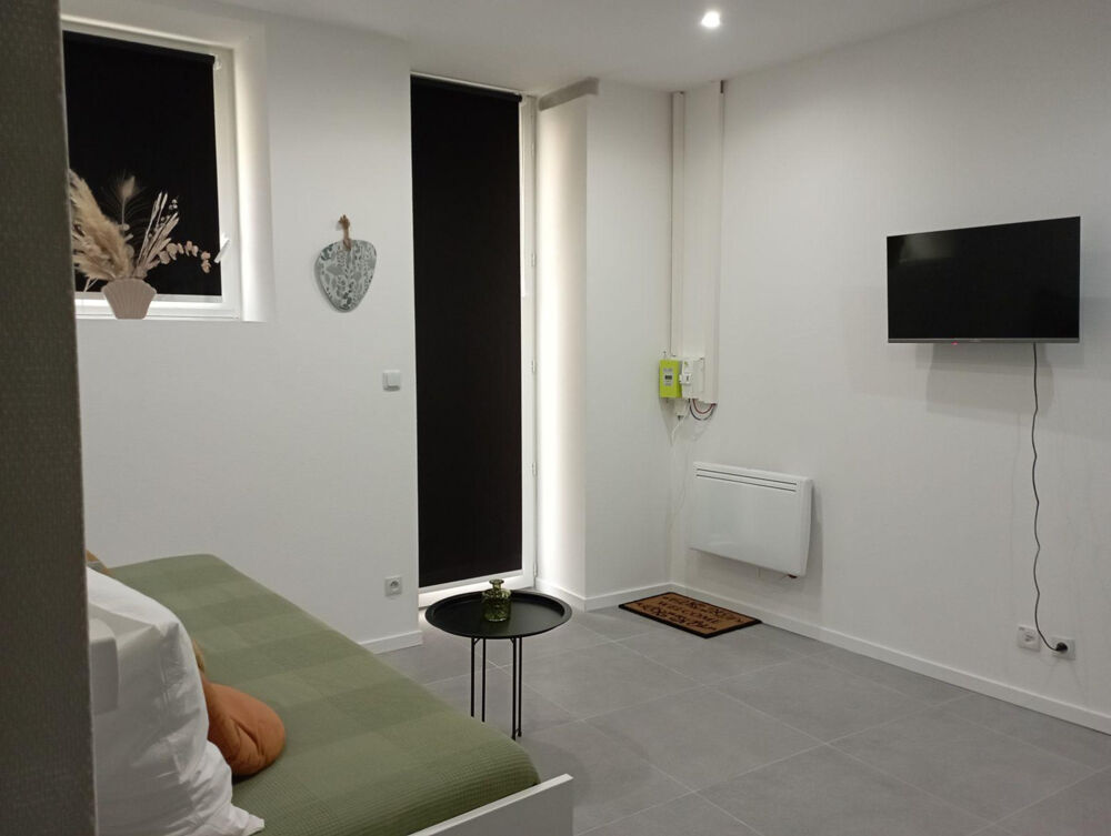 Location Appartement Charmant studio meublé,  refait à neuf. Roanne