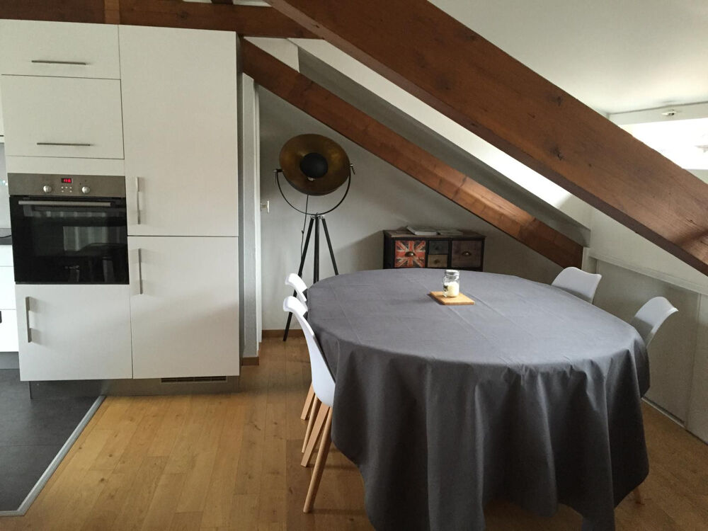 Location Appartement Magnifique duplex avec terrasse vue cathédrale Strasbourg