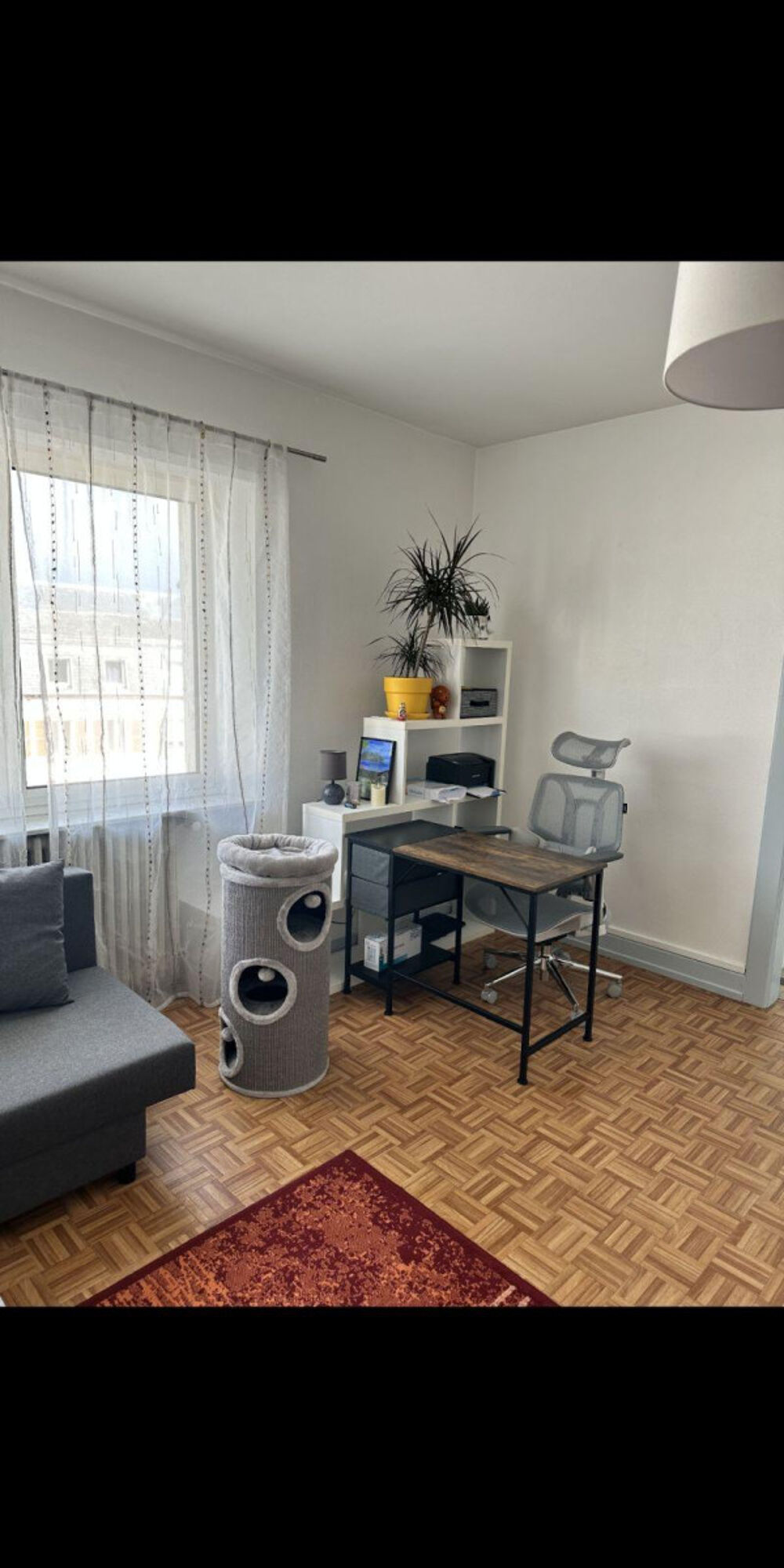 Location Appartement Loue T2 de 64 M2 entièrement meublé rénové Sarrebourg
