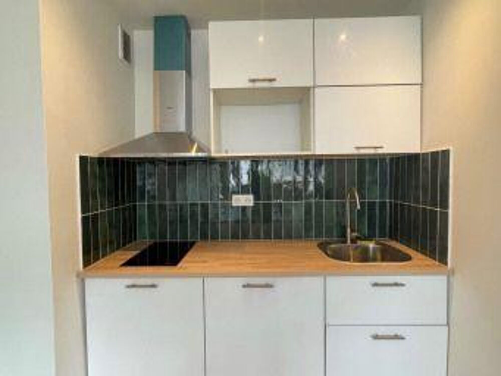 Location Appartement Studio meublé rénové – 30 m² – Charenton-le-Pont Charenton-le-pont