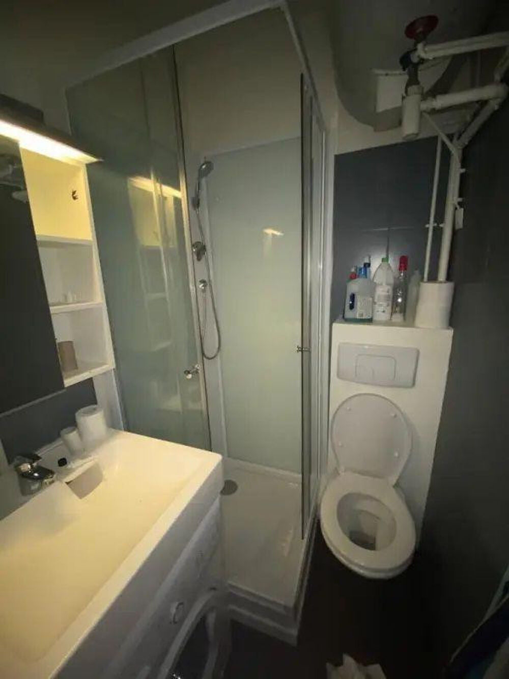 Location Appartement Studio refait à neuf, lumineux, belle cour Paris 15