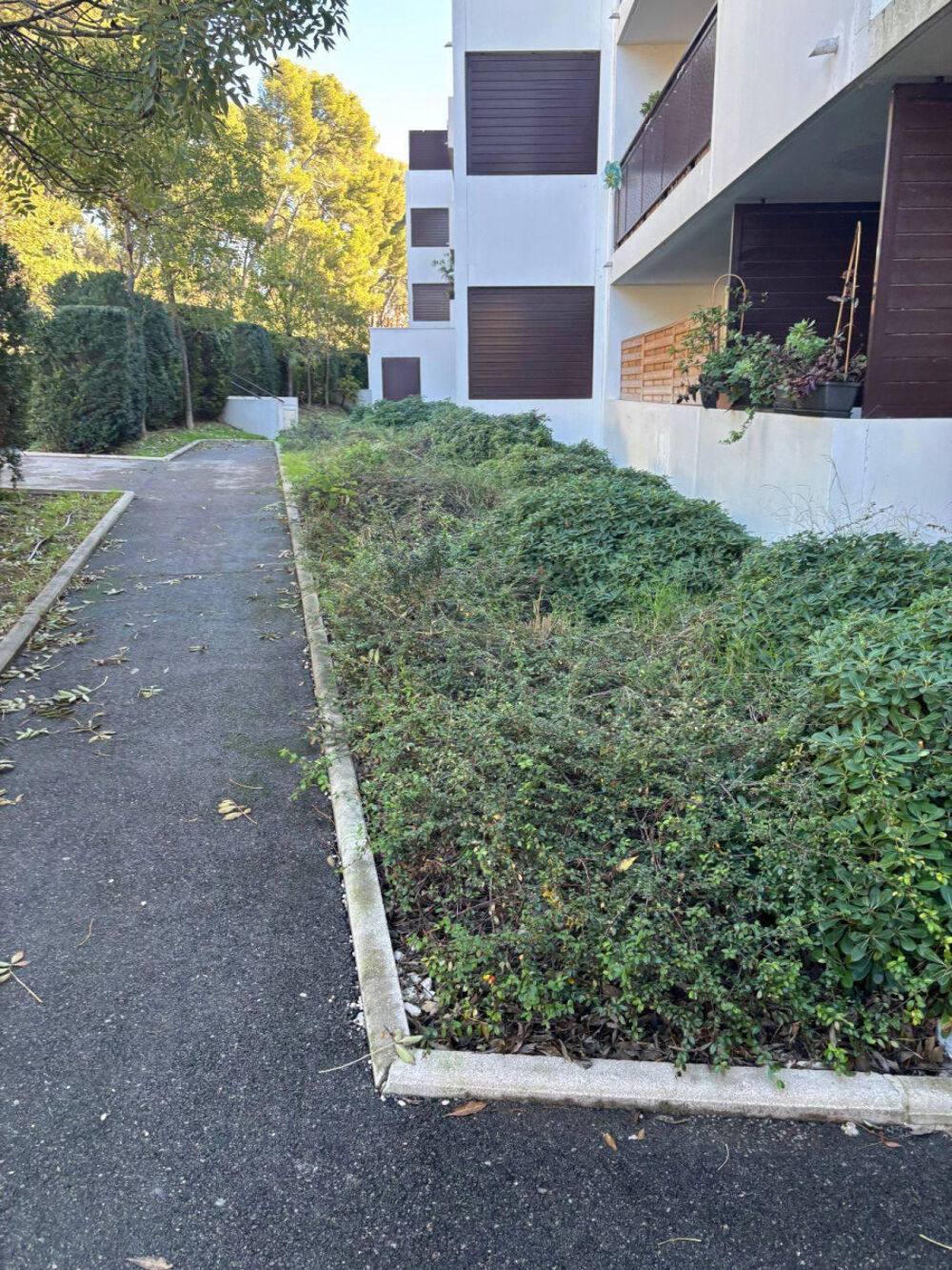 Location Appartement Beau T2 meublé 32m² avec terrasse, vue dégagée Marseille 11