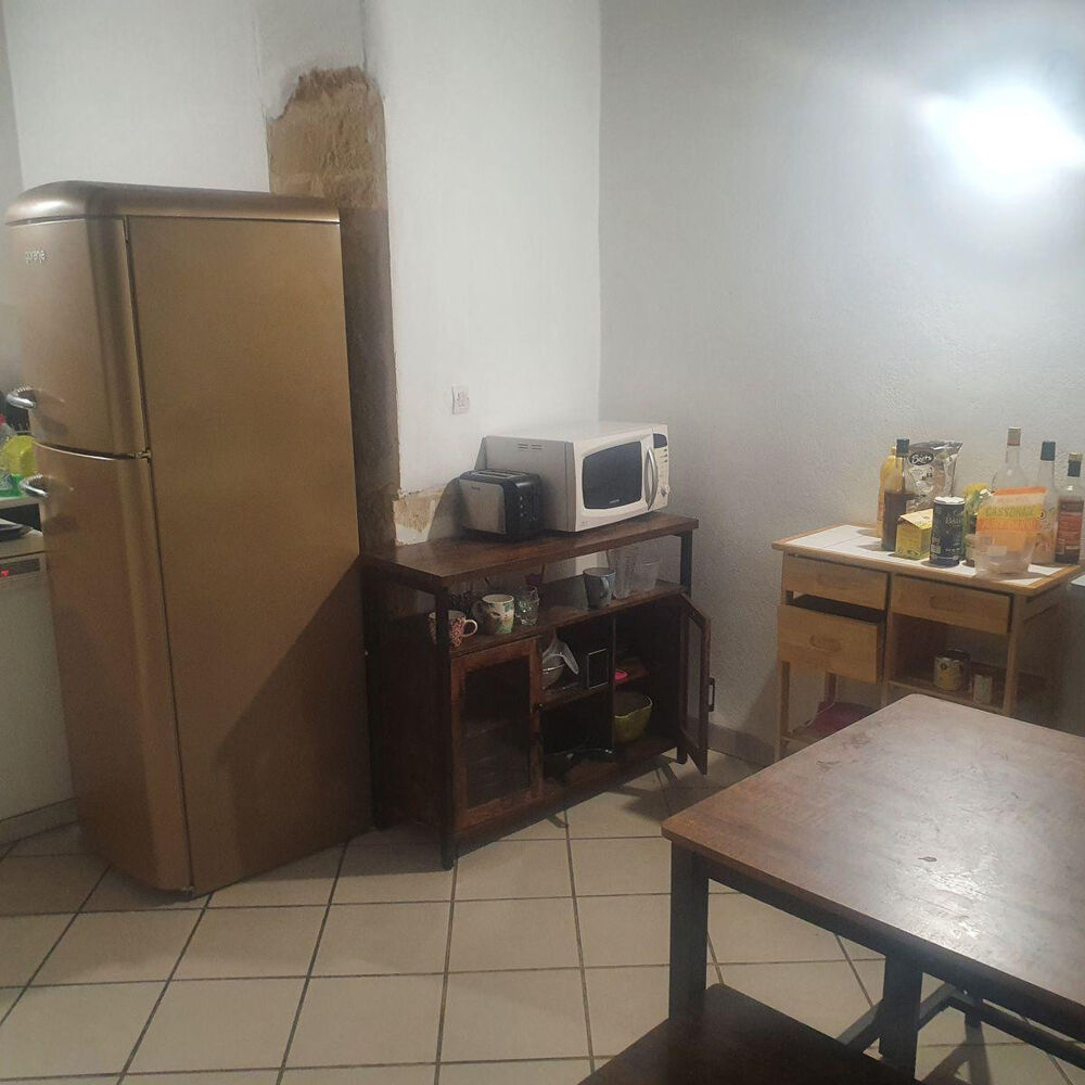 Location Appartement Bel appartement type Canut Lyon 1