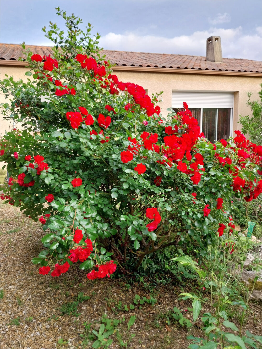 Vente Maison PROCHE GANGES Villa de plain-pied Cazilhac