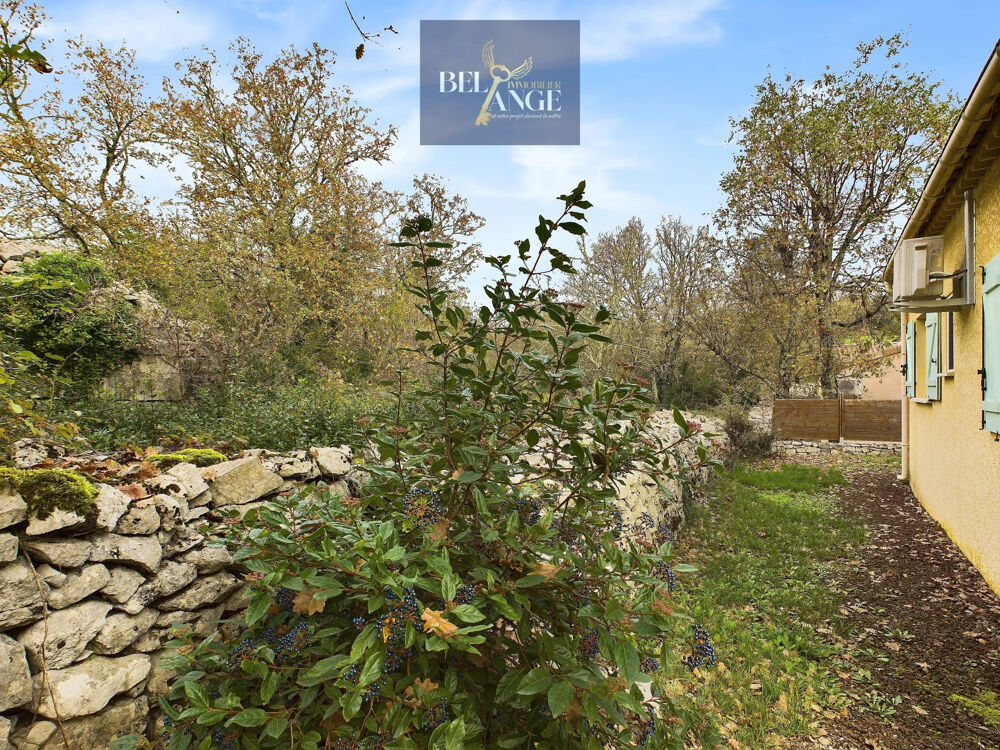  vendre  Proprit/chteau Saint-Alban-Auriolles (07120)